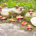 Ten Mushroom Pendents